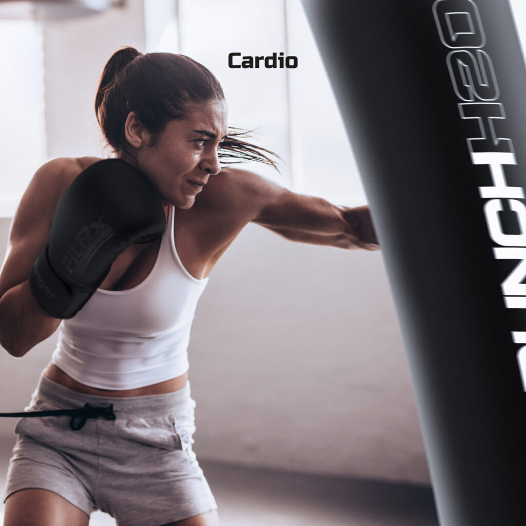 FitRx Punch H2O Punching Bag