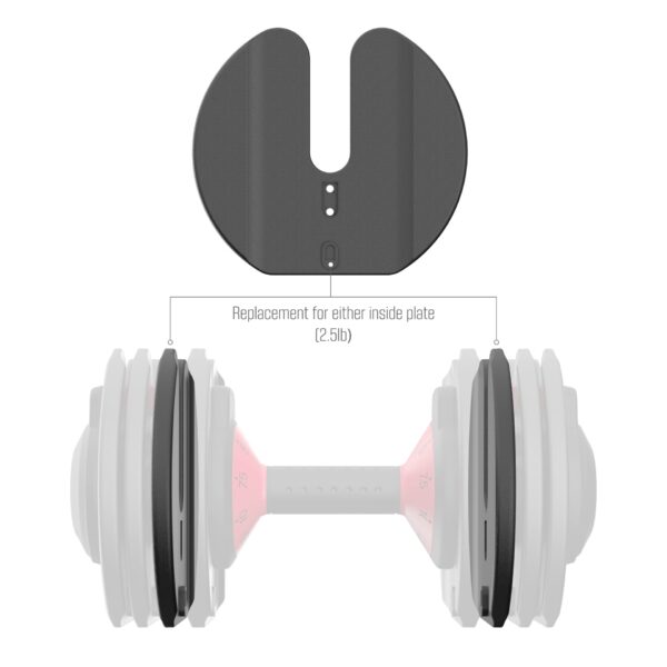 FitRx 25lb. SmartBell 2.5lb. 1 Weight Plate - Image 2