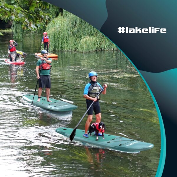 FitRx Paddle Board - Image 3