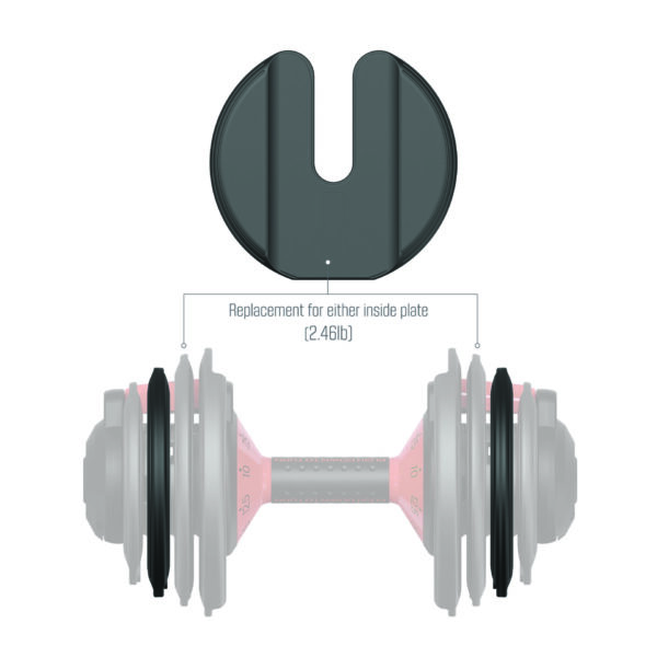 FitRx 25lb. SmartBell 2.46lb. Weight Plate - Image 2